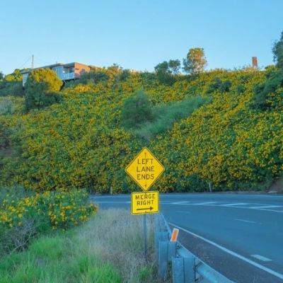 助赢软件app下载手机版